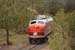 _MG_0891_small