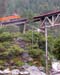 DSCN4397e