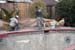 _MG_2286edit